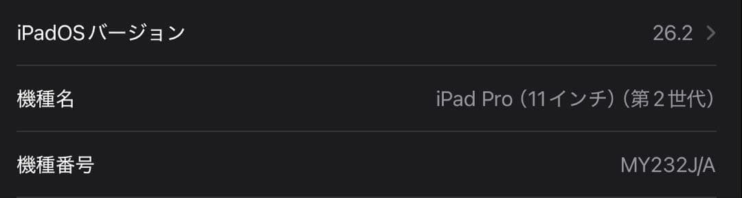 Apple iPad Pro 11インチ 第2世代 128GB スペースグレイ