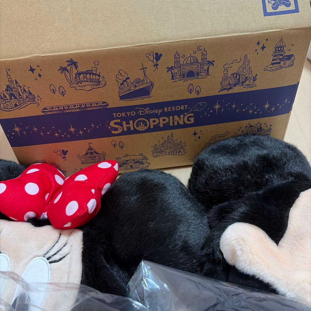 ディズニー ミッキーミニー ファンキャップ＆ポシェット