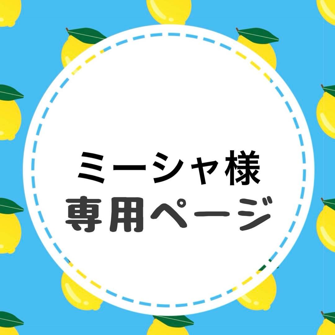 ミーシャページ