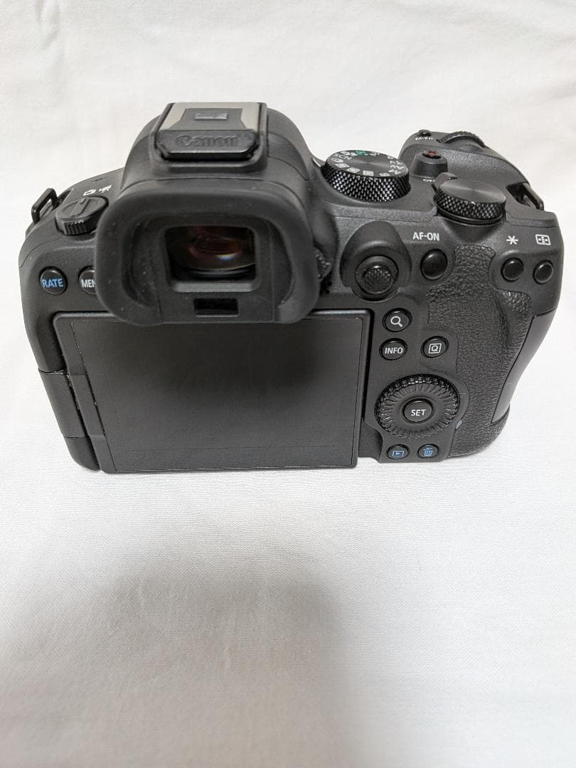 Canon R6 Mark II + RF24-105mm F4L USMキット