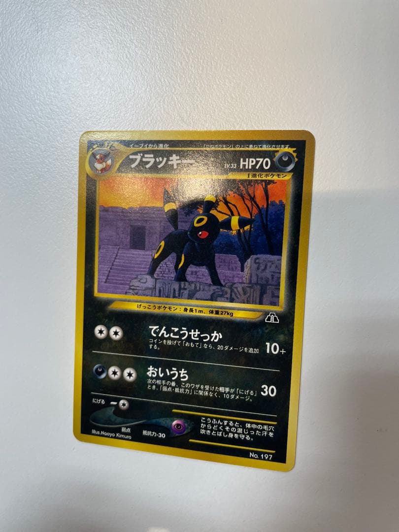 ポケモンカード neo プレミアムファイル 1/2 ファイル付きセット