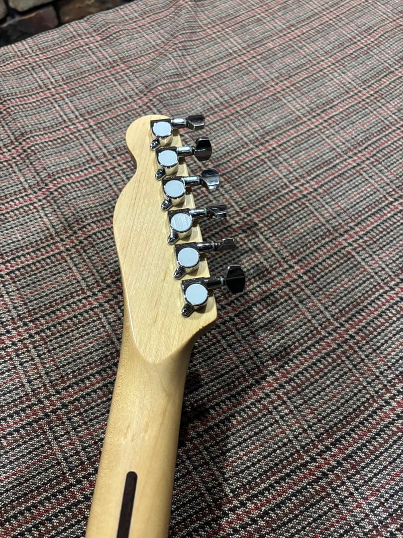 アコスタニック？　テレキャスター