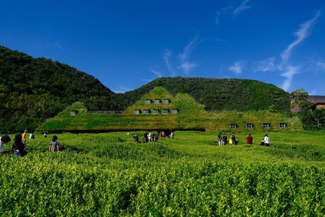 TAMRON 17-70mm F/2.8 富士フィルム　xマウント