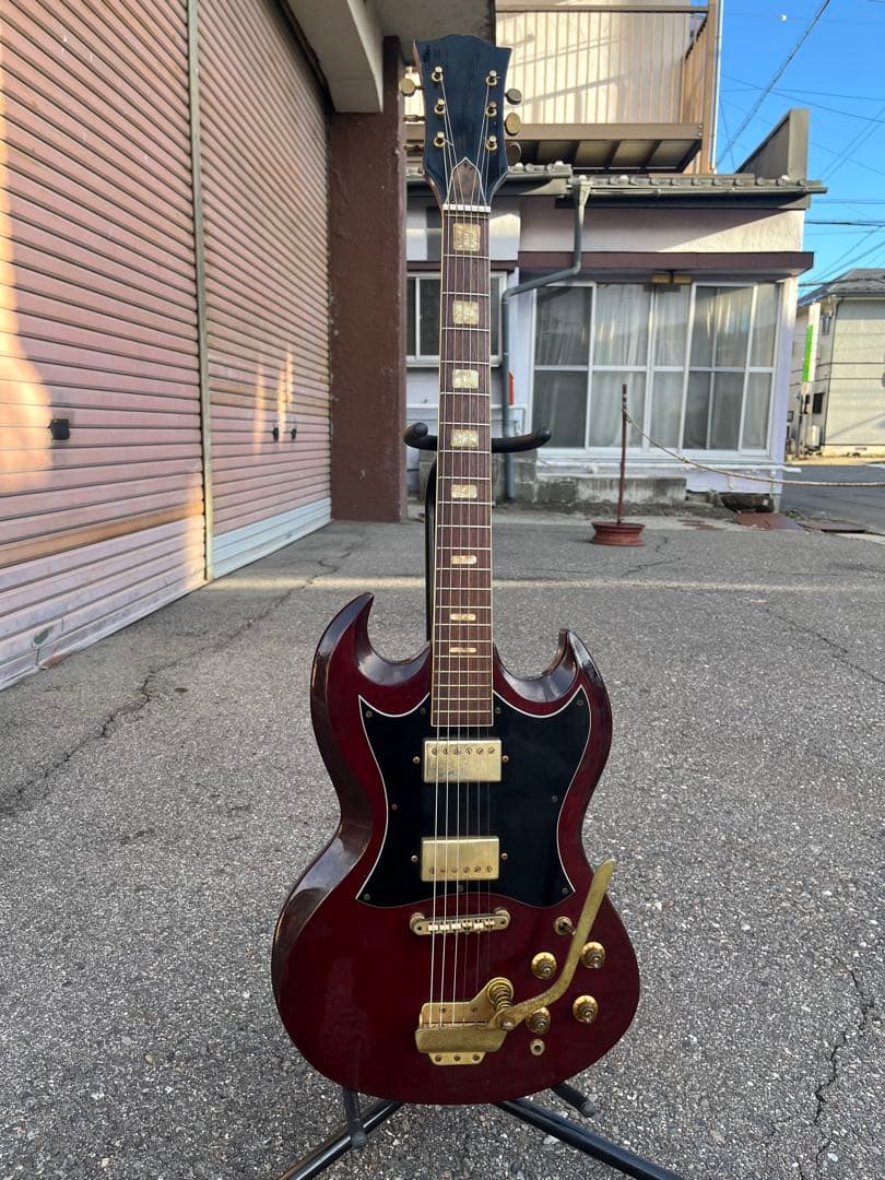 【Lake（レイク） 日本製 ビザールギター 長野ローカルブランド】