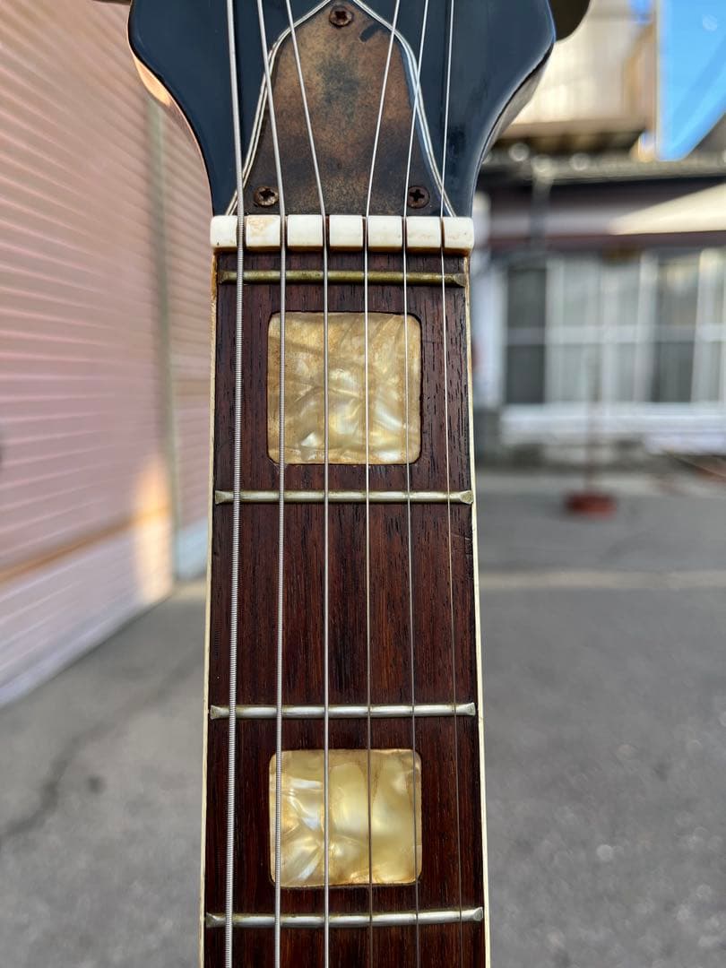 【Lake（レイク） 日本製 ビザールギター 長野ローカルブランド】