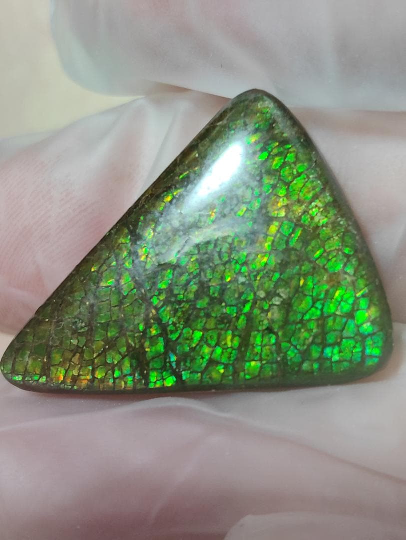 アンモライト　ルース　24-0750 15000