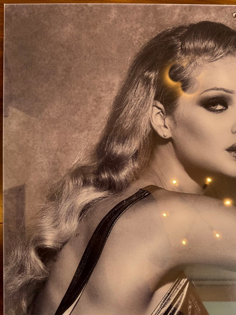 【美品】フォトグラフィアート、IV SKAYA ELENA、4/500