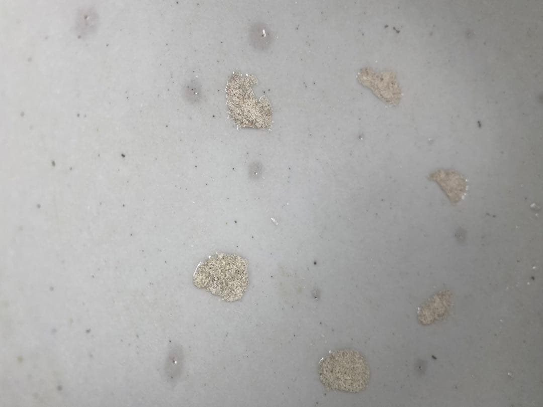 金魚鉢　メダカ　亀　陶器製