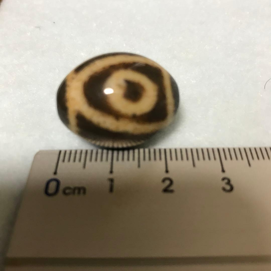 N*a様 超激レア珍品‼︎ 小盧至純　丸型一眼天珠　水晶共生