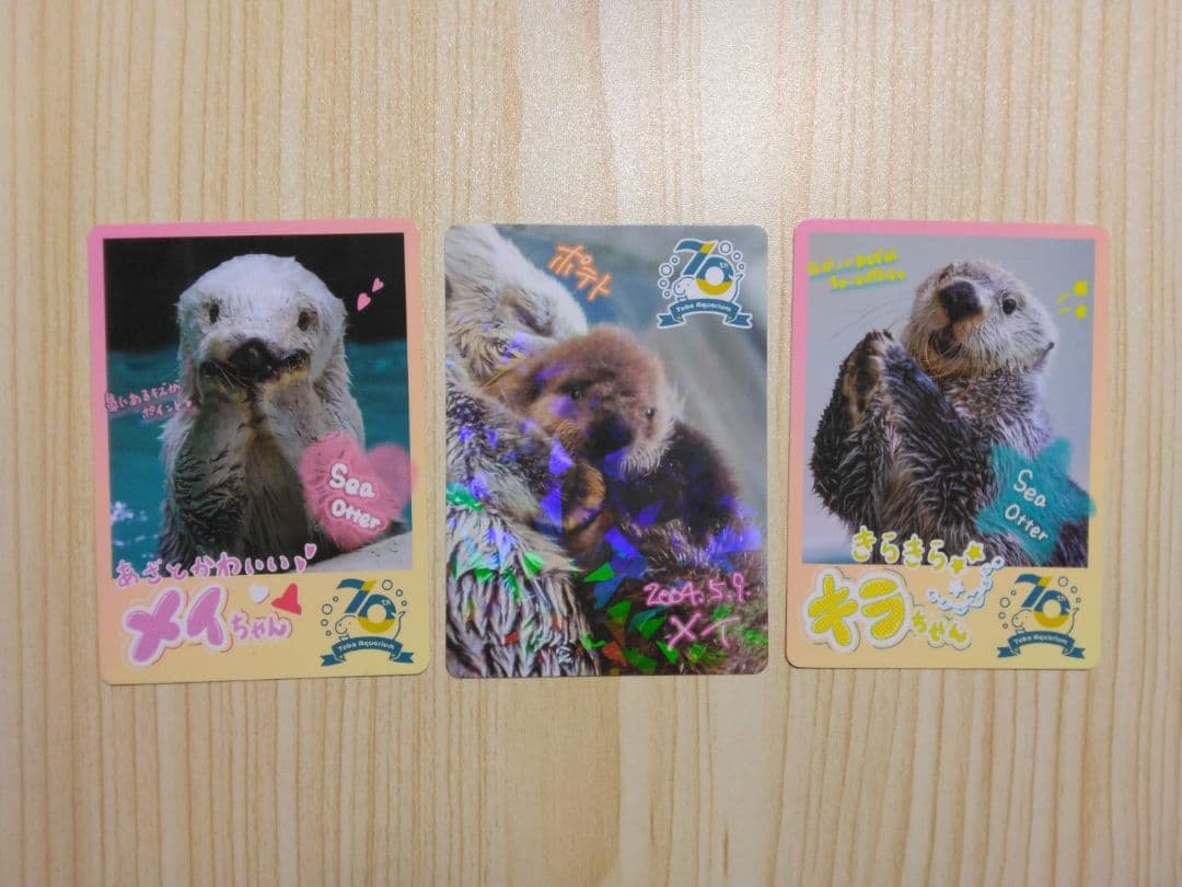 鳥羽水族館　 70周年記念 コレクションカード メイ（レアカード）セット