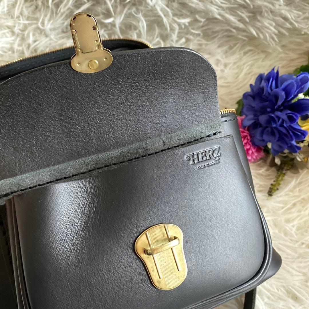 はぬえる　断捨離中HERZ ショルダーバッグ　カメラバッグ　ハードギャジ