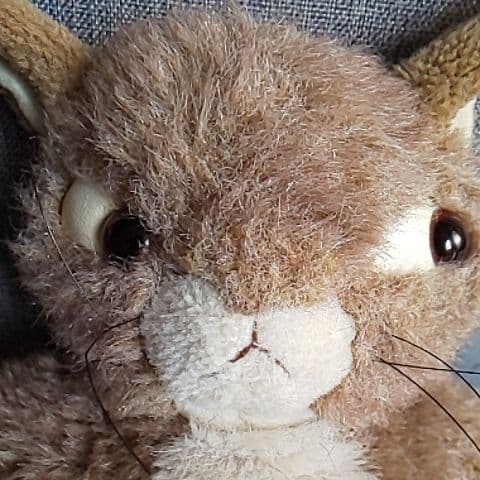 #わちふぃ－るど#ダヤンぬいぐるみ