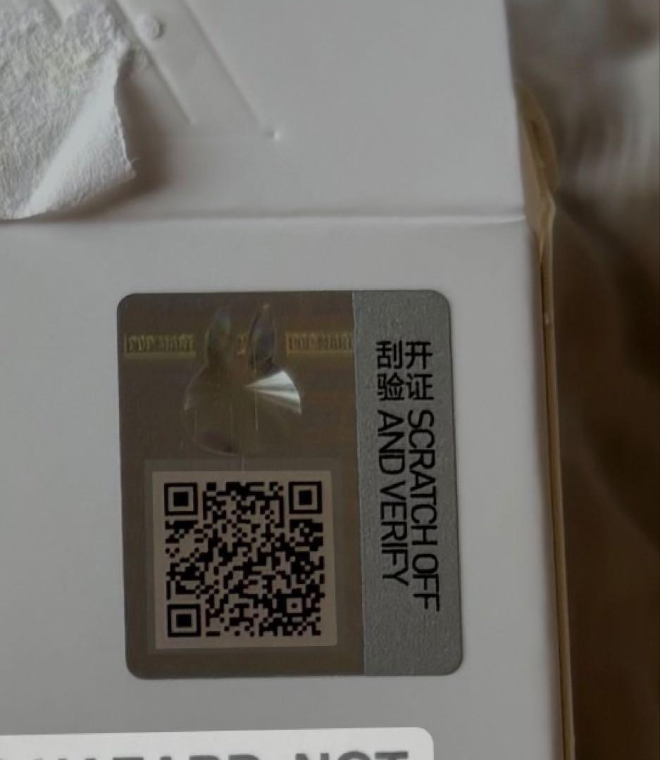 LABUBU THE MONSTERSbig into energyシークレット