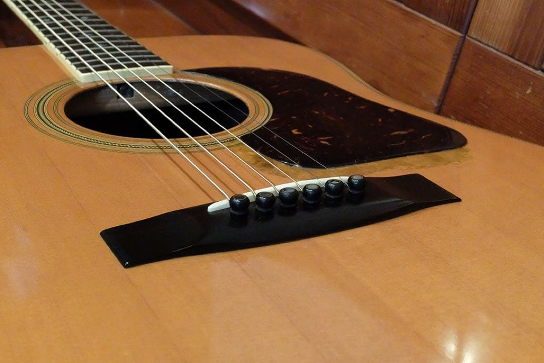 Jagard JG-35 寺田楽器 爆鳴り ジャパンビンテージ