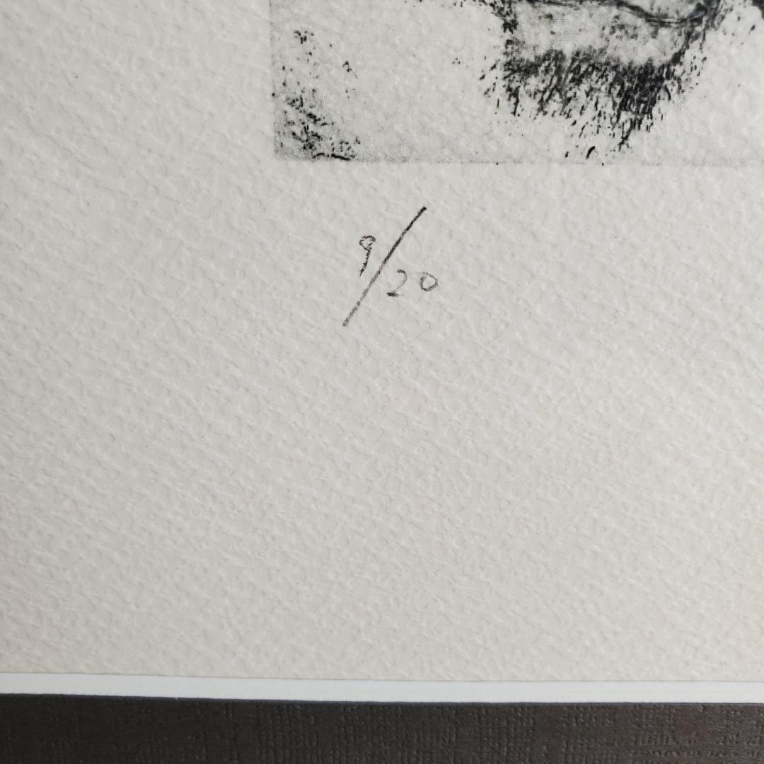 横尾忠則 リトグラフ 夢シリーズ 二人の私 銅版画 直筆サイン 限定20部 額装