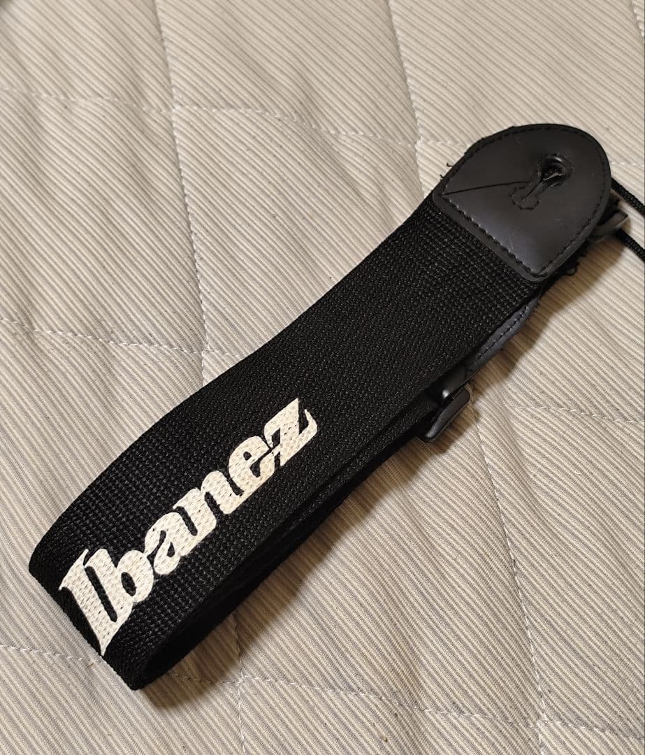 Ibanez Gio/ケース付