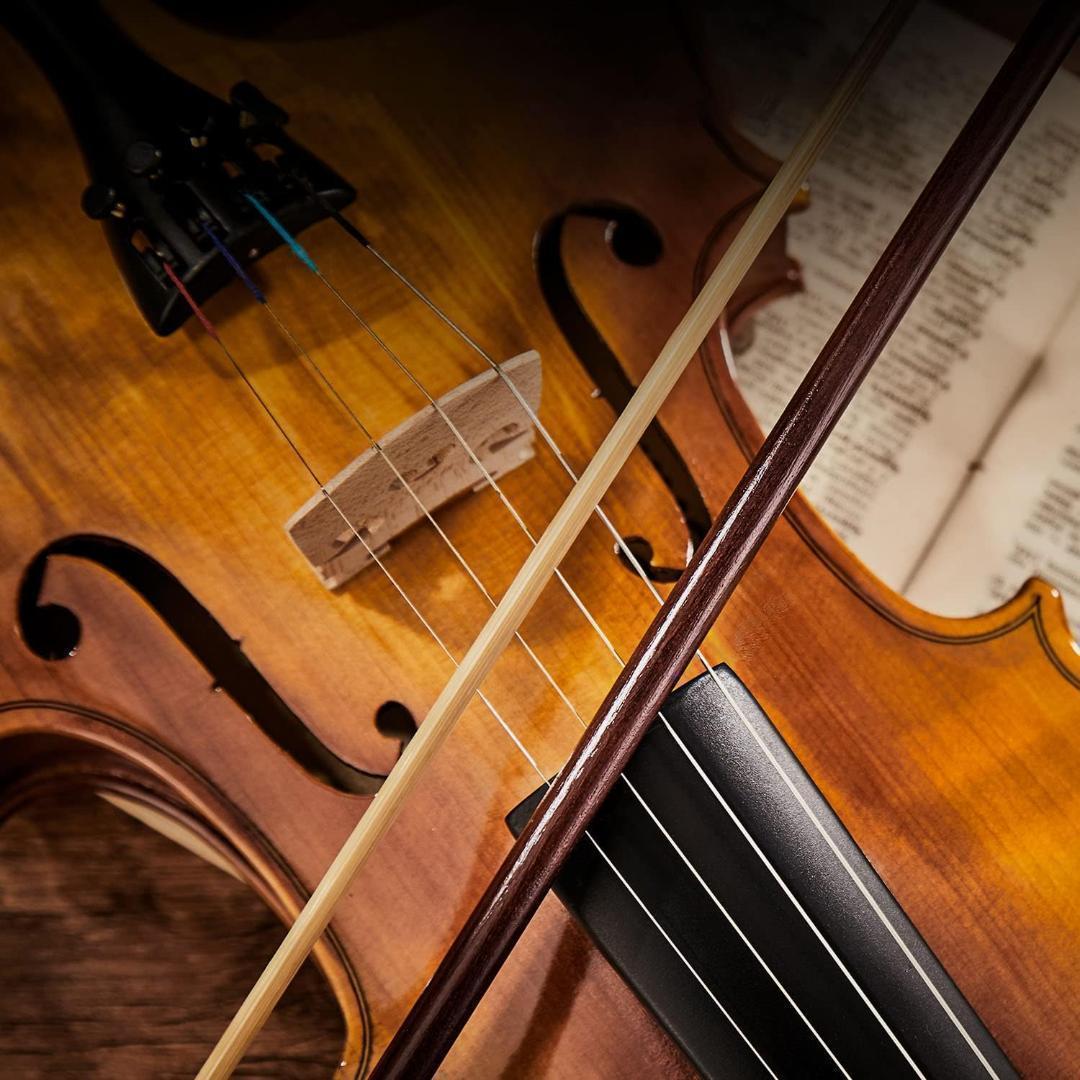 【M2067-165-126】バイオリン 4/4 単板　弓2本