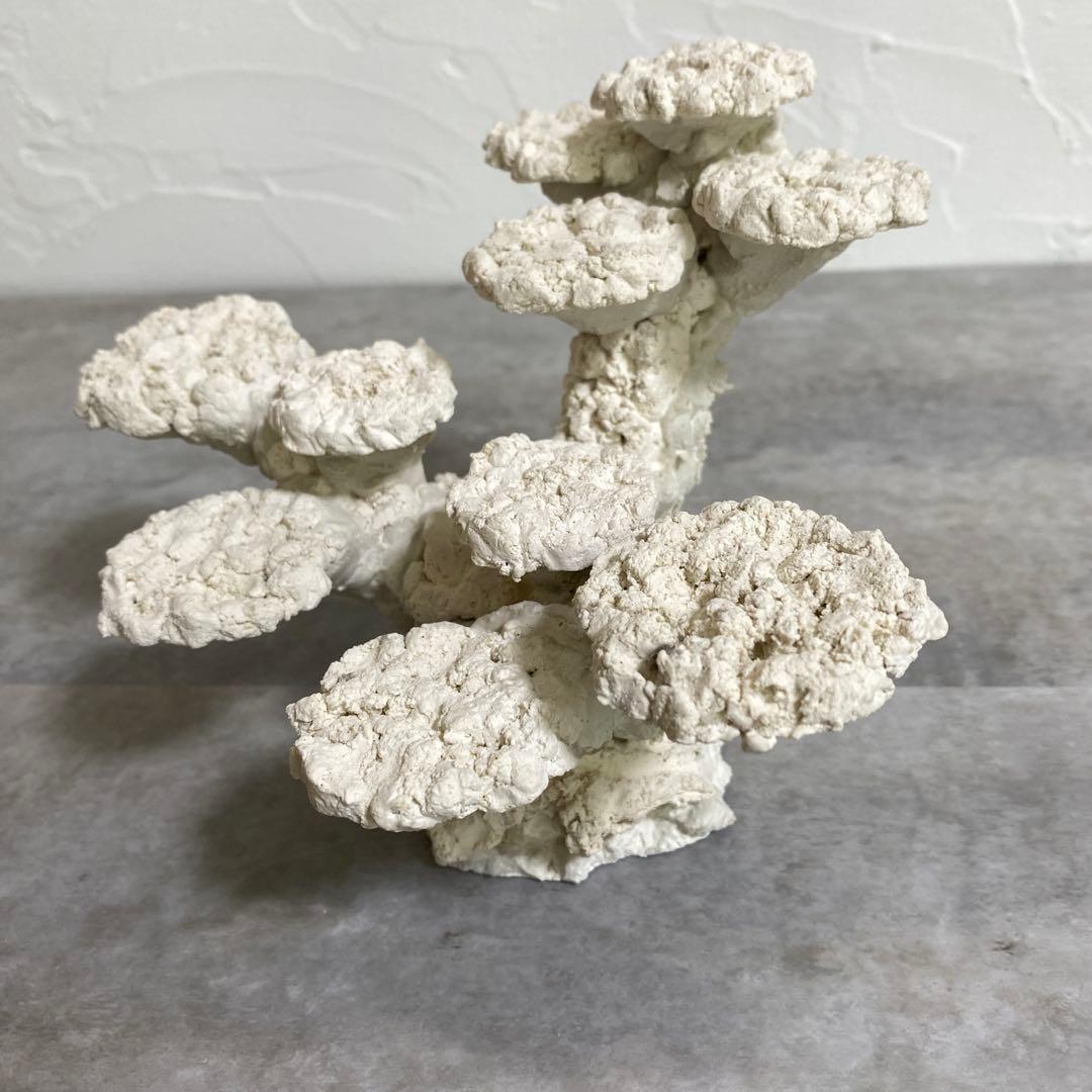 30cm 水槽用ホワイトコーラル型石　レイアウト済　人口ライブロック　サンゴ