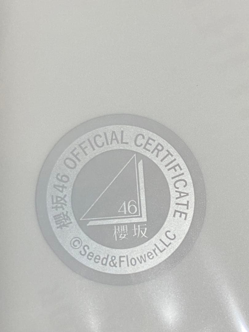 松本和子　櫻坂46 生写真　四期生お披露目制服　直筆サイン　ヨリ