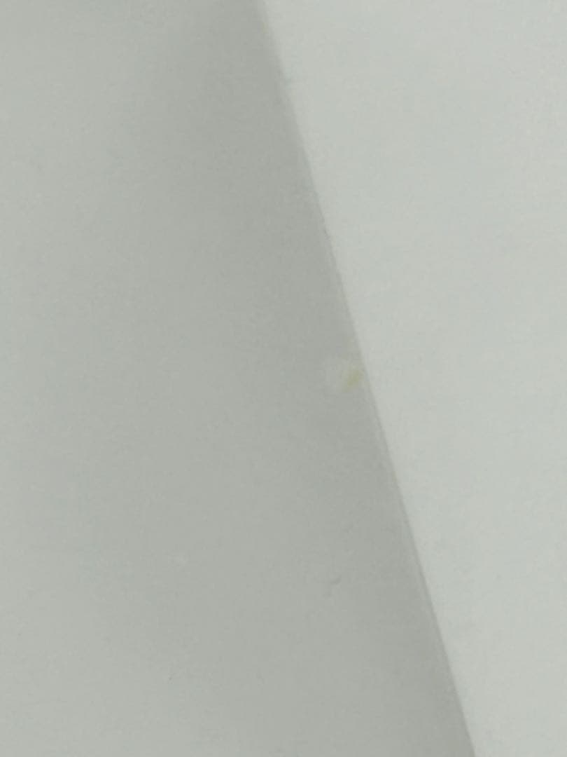 Official Display Model BUCK-TICK 櫻井敦司 限定