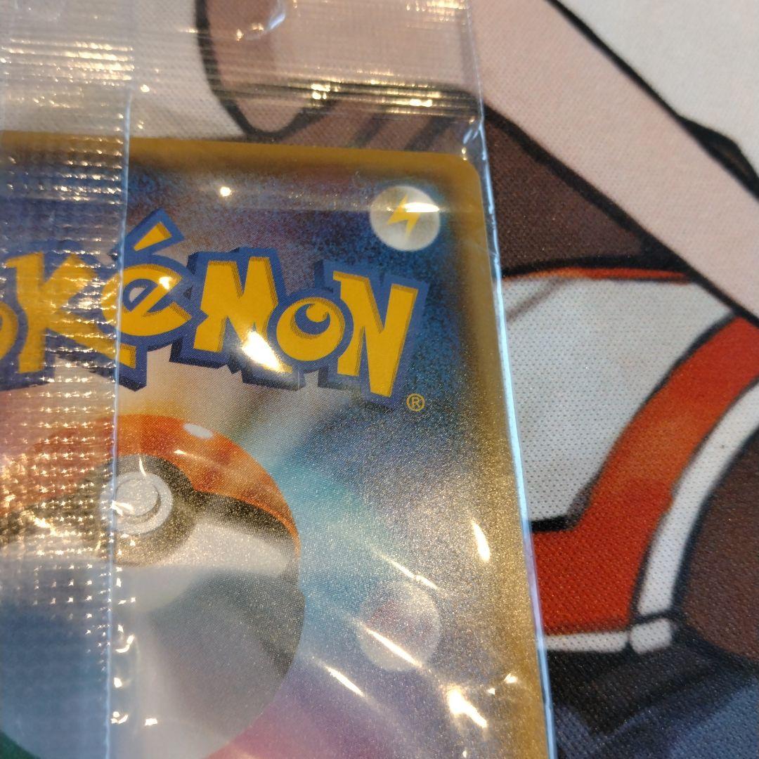 ポンチョを着たイーブイ リーフィア　未開封