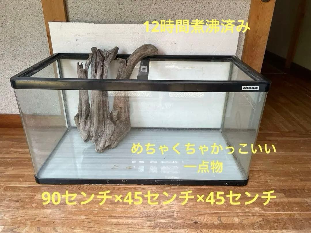 超大型　☆アクアリウム　生花　テラリウム 爬虫類　天然流木 ホーンウッド　1点者