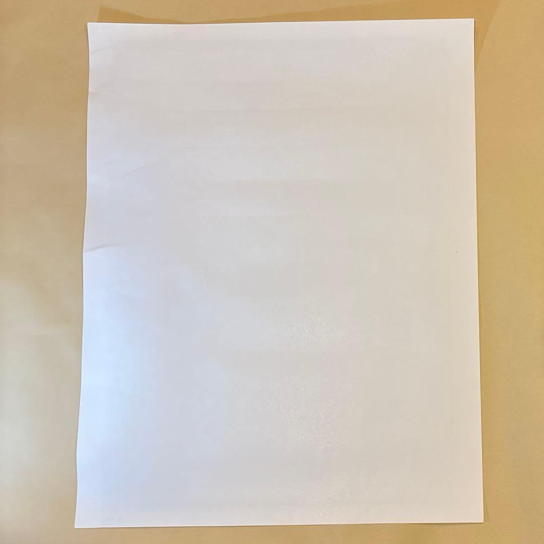 KOZIK ZENIGEVA シルクスクリーンポスター