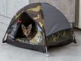 CAT CAMP　テント　ペットテント　猫ベッド　キャットテント　迷彩　カモ柄