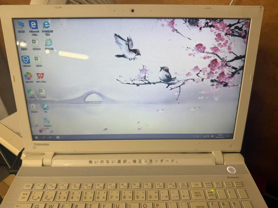 【中古】 東芝15.6 型 ノートパソコン ホワイト PT45VWP-SJA
