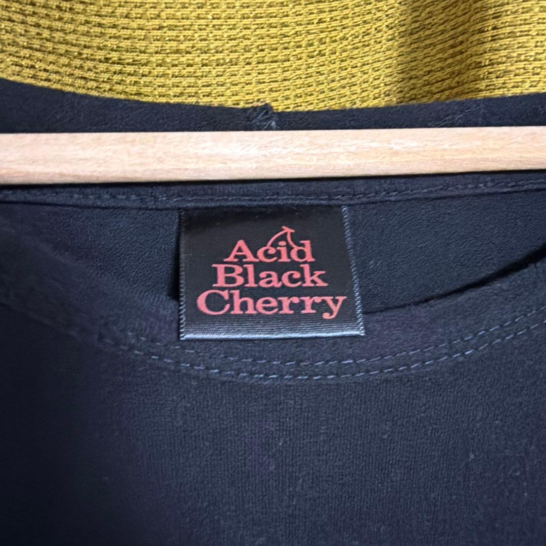 Acid Black Cherry Halloween party パーカー