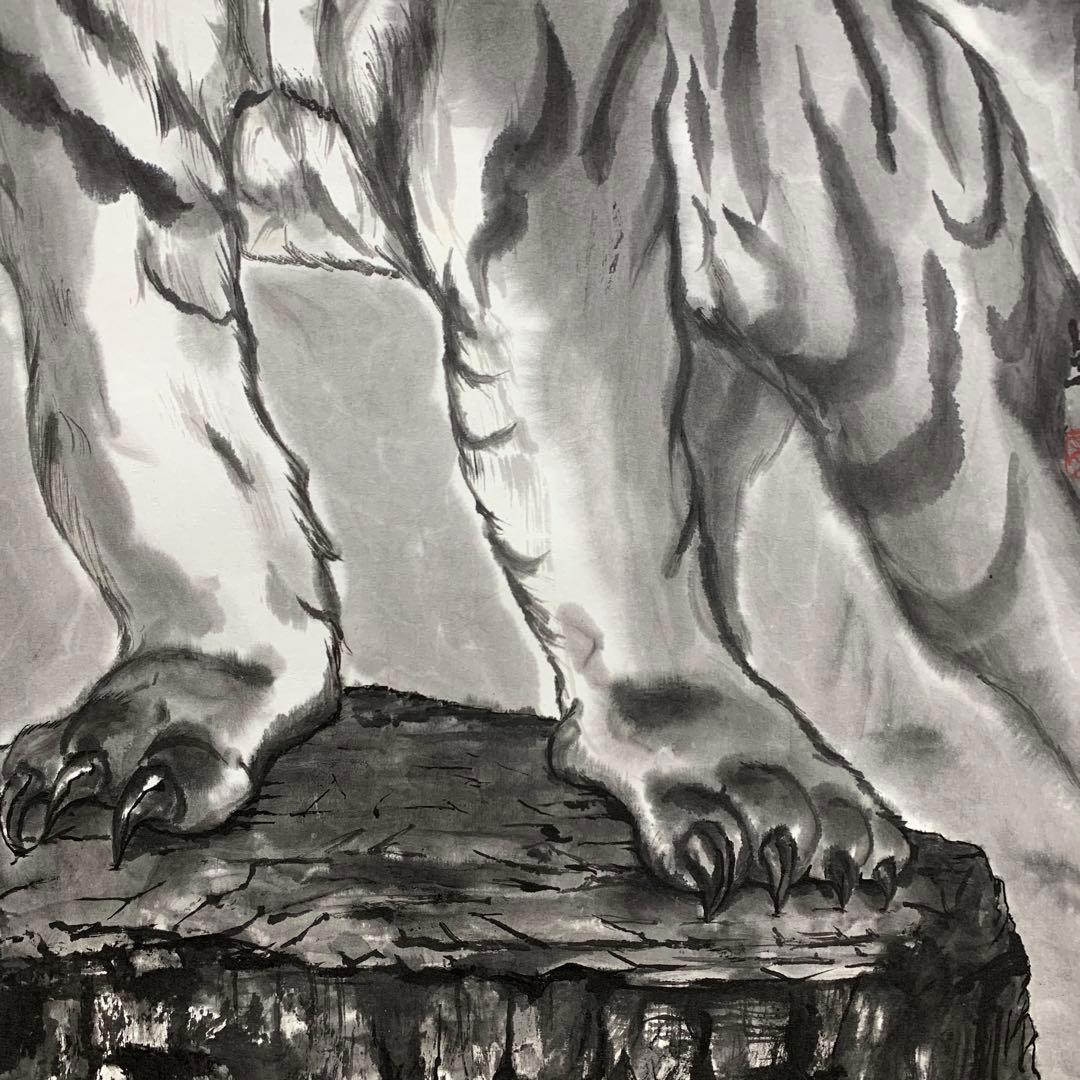 美品 掛け軸 現代水墨画家 絵師白道作「龍虎の図」共箱 墨絵 水墨画