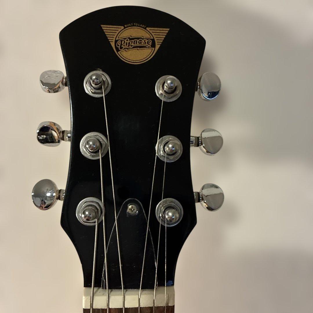 ピグノーズPGG200 ブラック