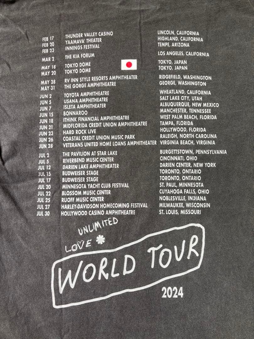 レッチリ　Tシャツ　東京ドーム　M