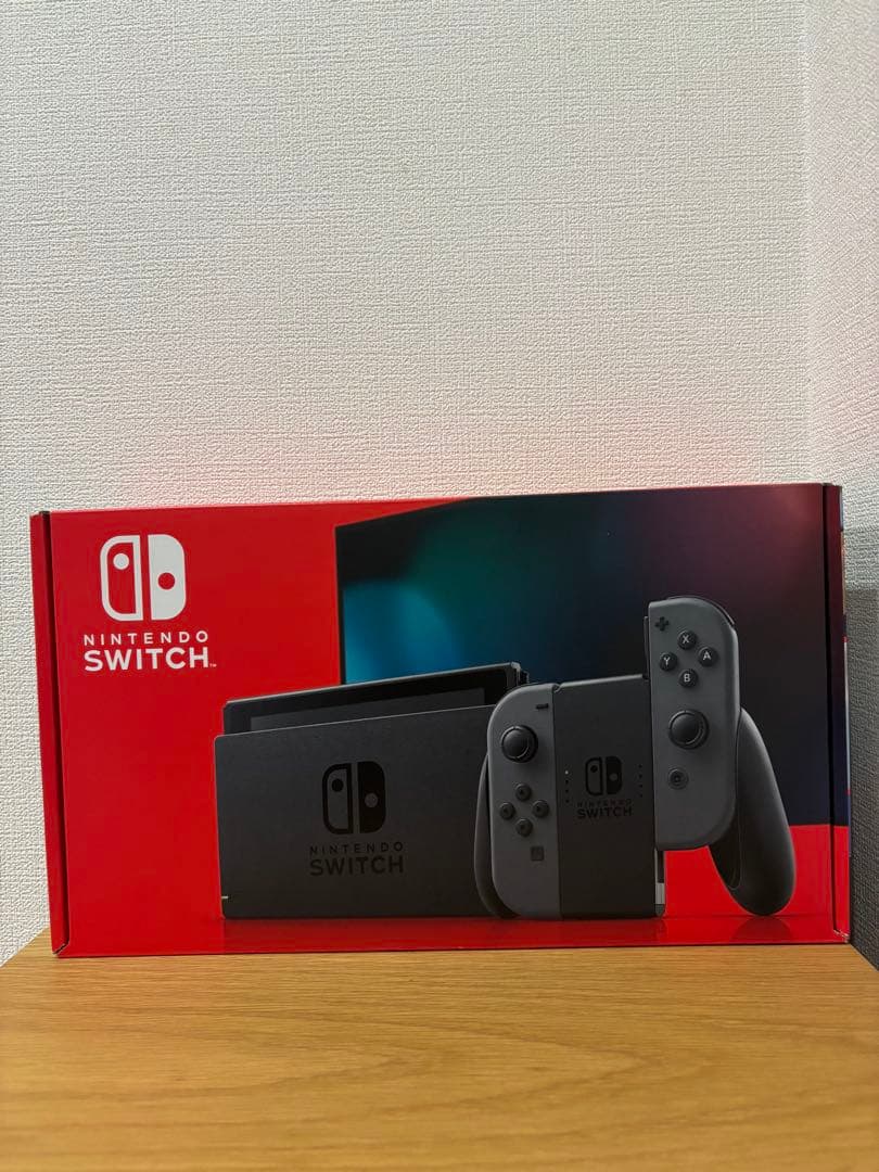 Nintendo Switch グレー ケース付