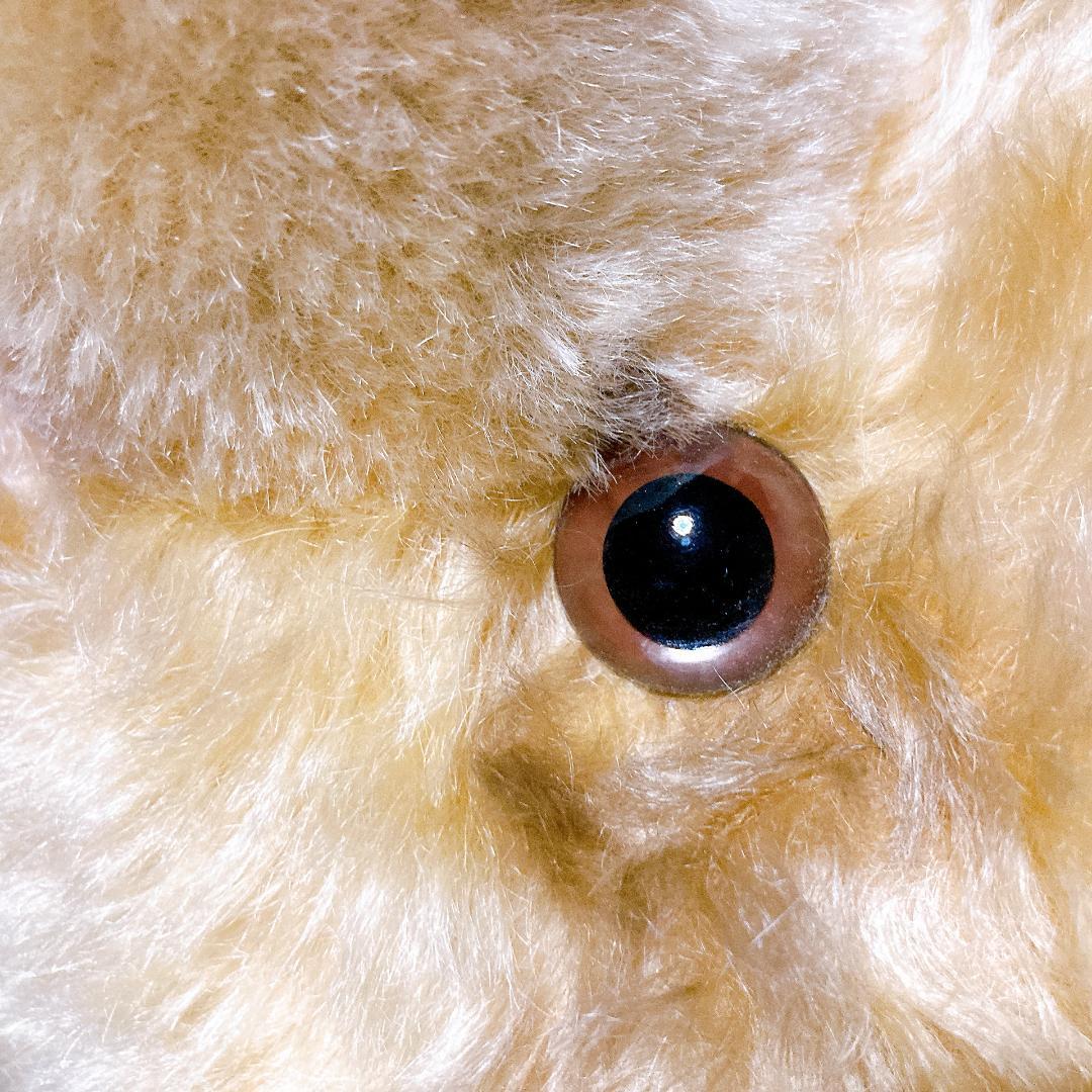 シュタイフ Jackie 1953年 レプリカ 75cm　|3421|☆