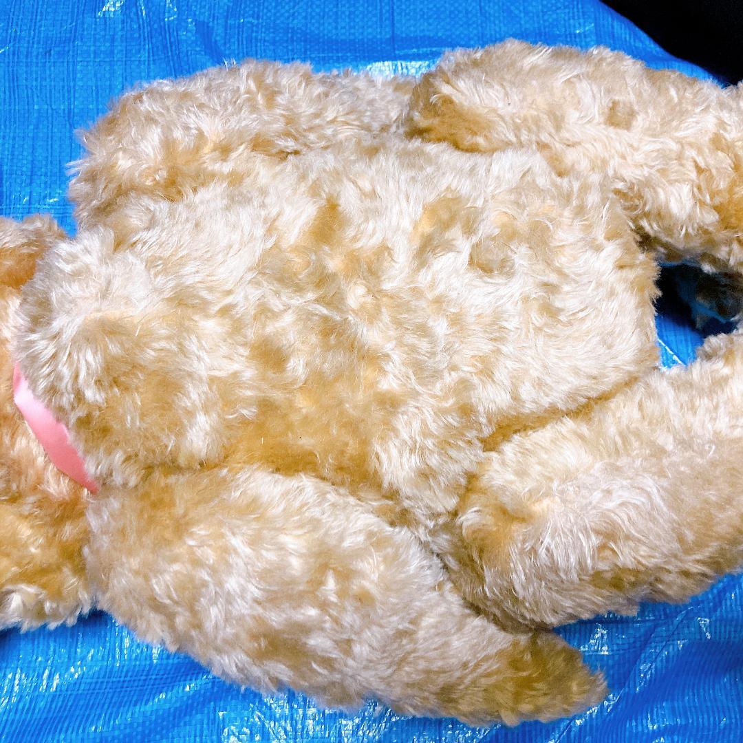 シュタイフ Jackie 1953年 レプリカ 75cm　|3421|☆