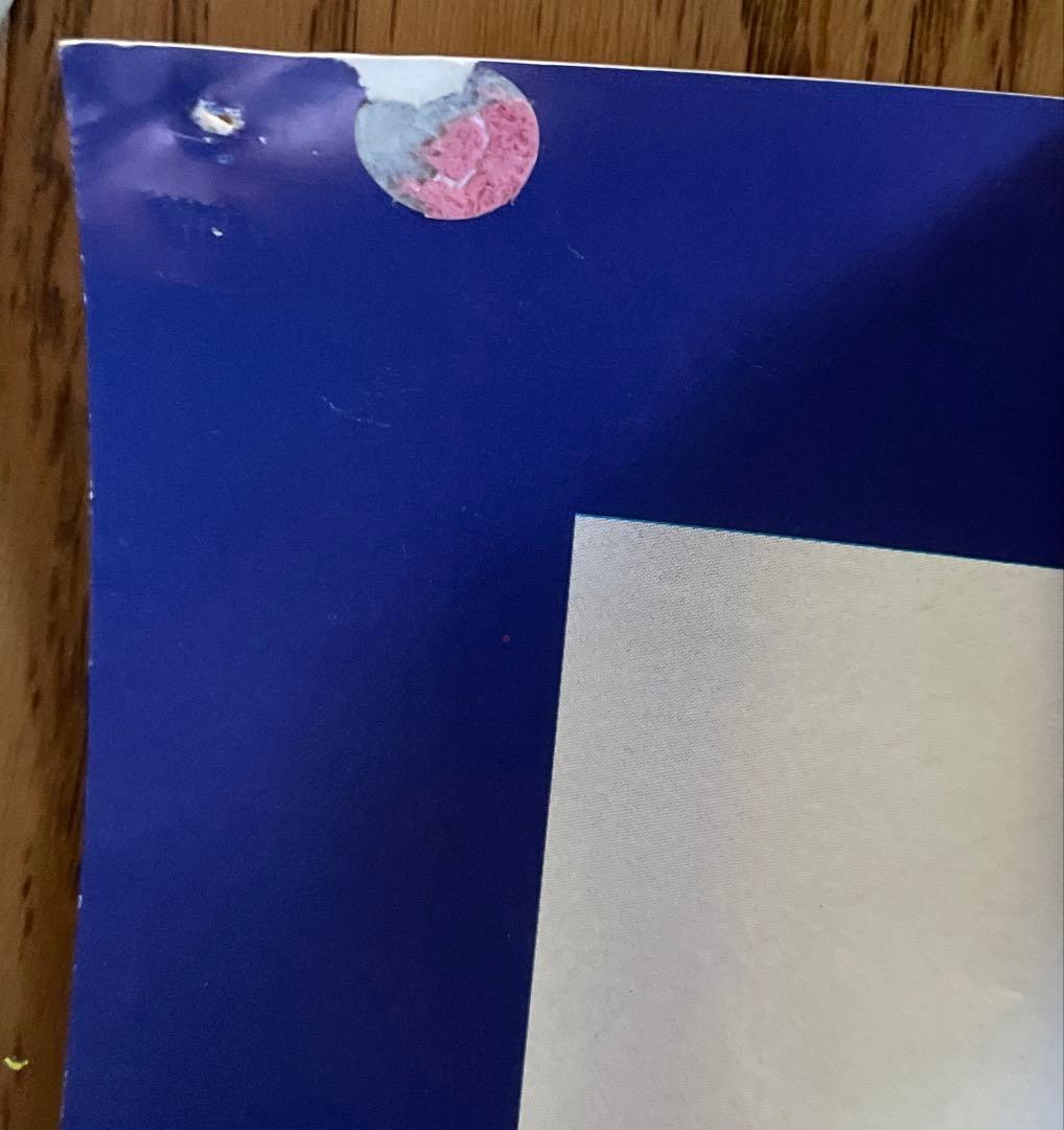 【希少】D-SHADE ポスター