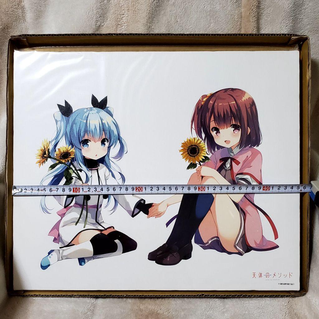 天体のメソッド　キャンバスアート