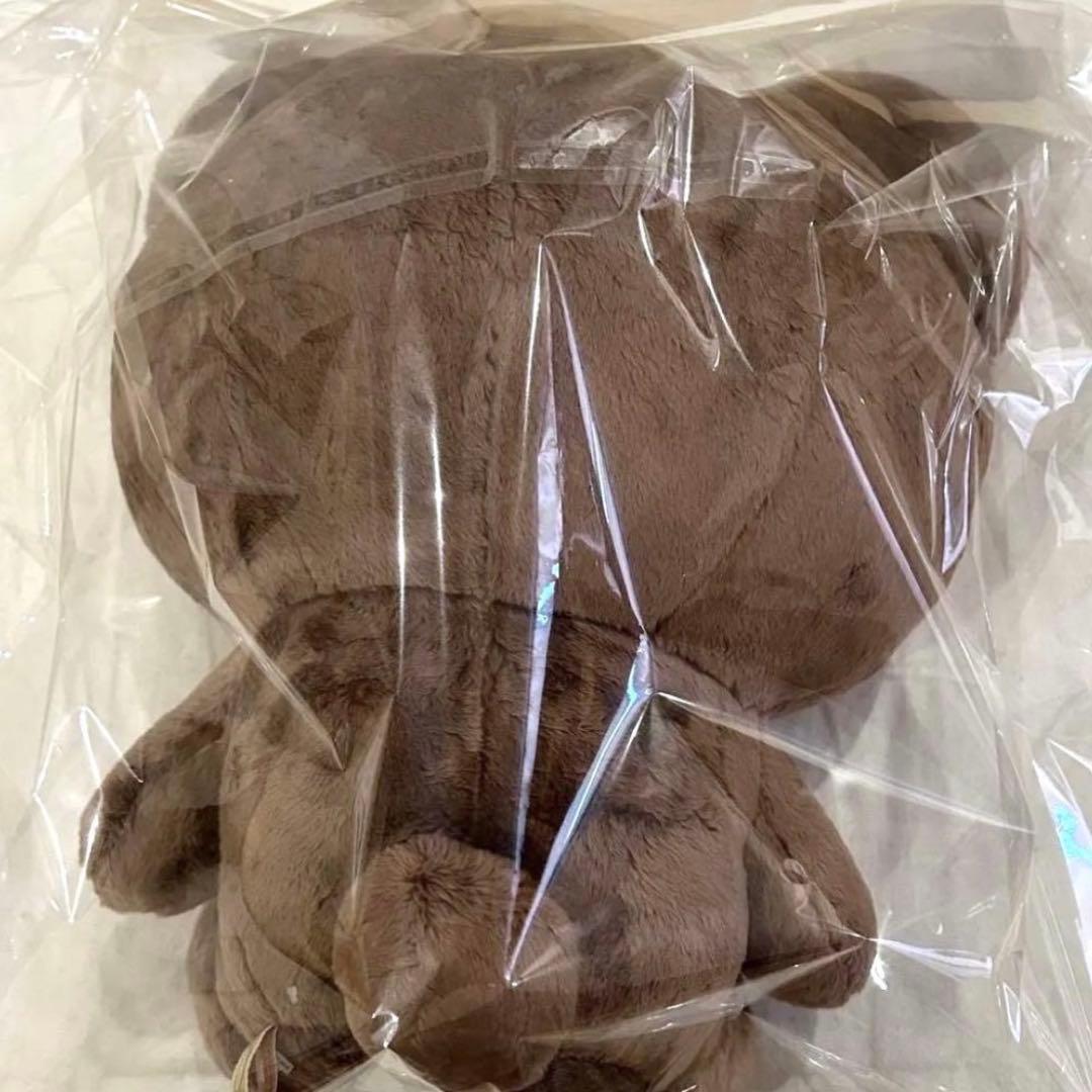 NCT127 ヘチャン ぬいぐるみ 40cm マスターダニム ワンヒョギ