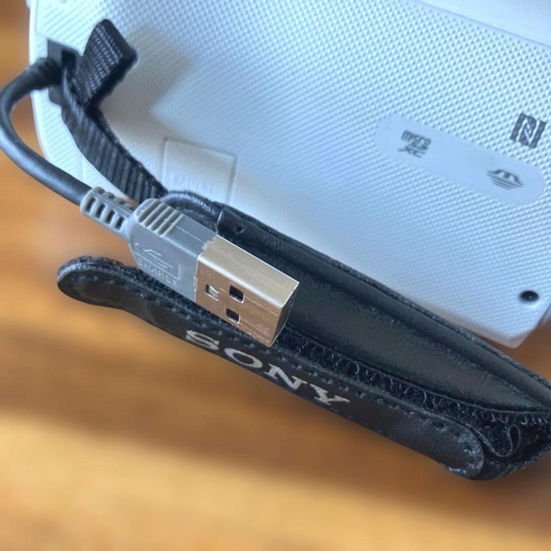 SONY ハンディカム HDR-CX485 セット（動作確認済み・初期化済み）