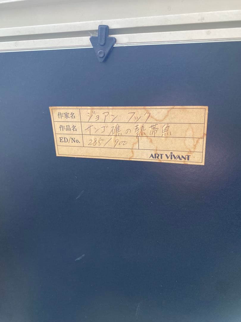 ジョアンフック　サンゴ礁の熱帯魚　285/900