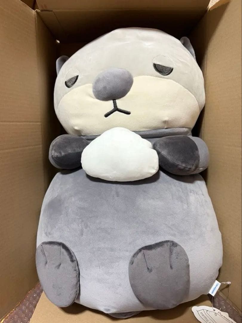 カワウソ ぬいぐるみ 河田陽菜 日向坂46