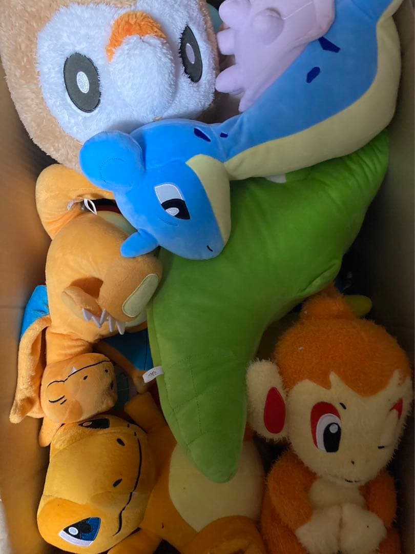 ポケットモンスター ぬいぐるみ 引退品 ポケモン 22体 まとめ売り 少年