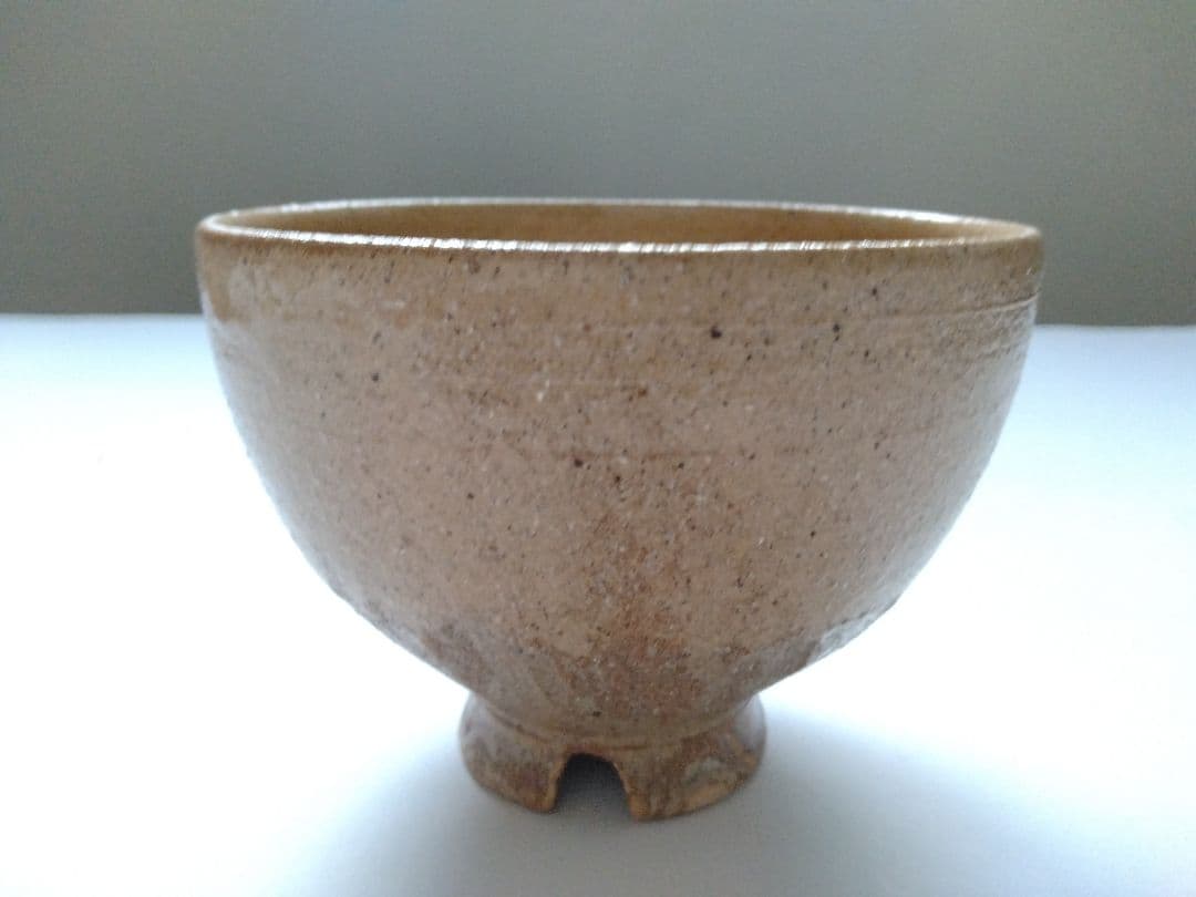 藤谷芳哉　白菊画 茶碗　水無月窯　抹茶碗　茶道具　共箱 共布 栞付 花紋様