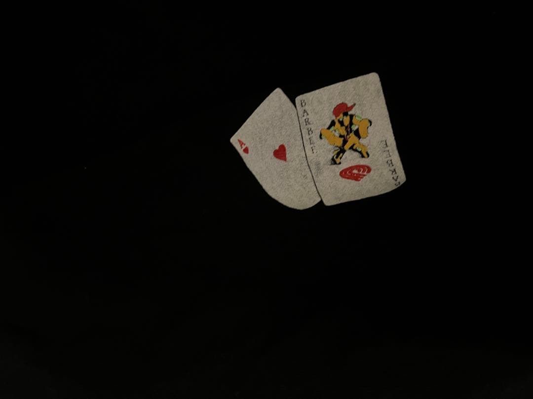 80s〜90s \"Powell Peralta\" L/S