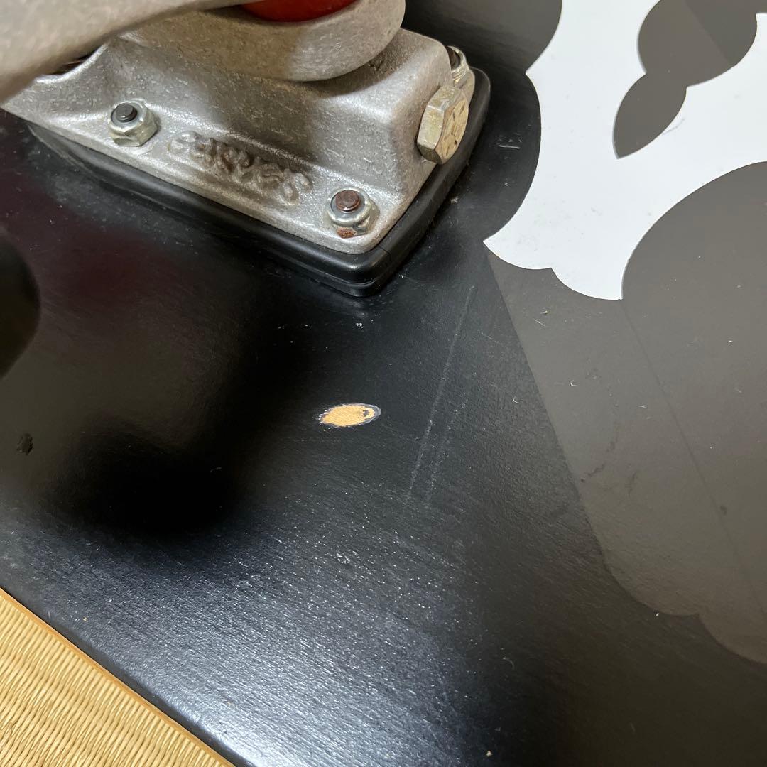 Carver スケートボード Veniceモデル コンプリート