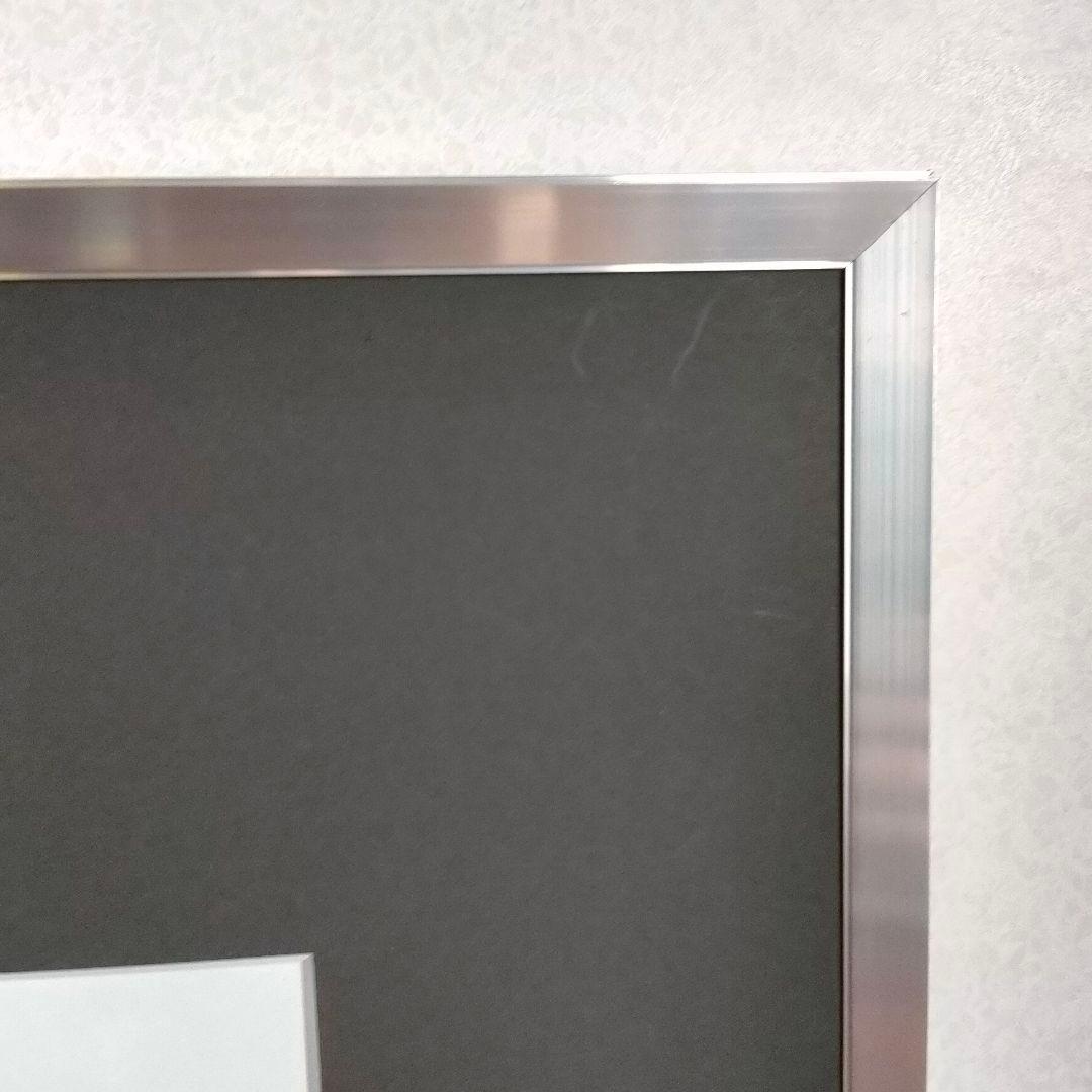 フジカラー アルミ額縁 フォトフレーム A10N 全紙 高級台紙使用 シルバー