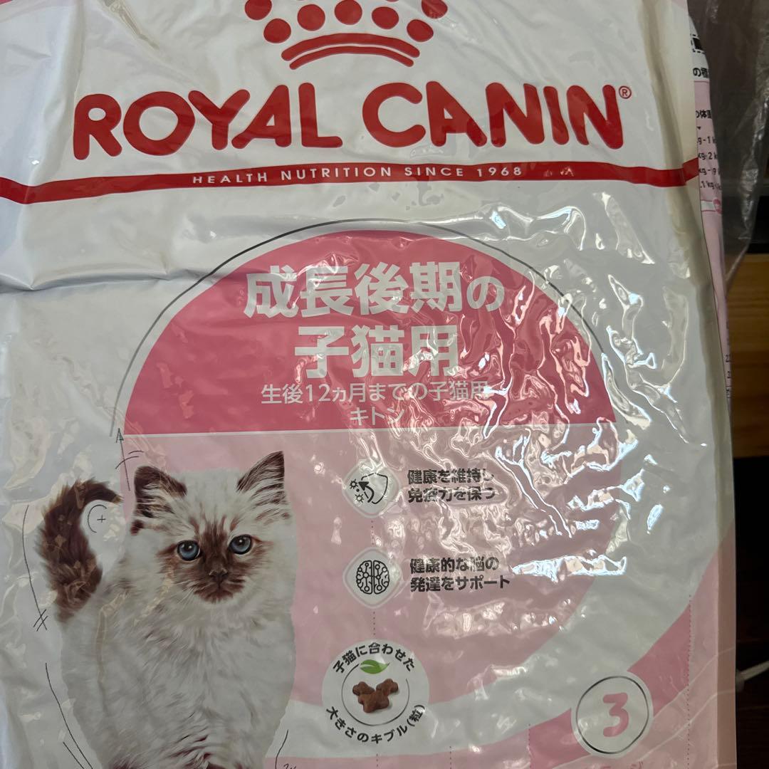 ロイヤルカナン成長後期 カリカリ キトン 10 KG