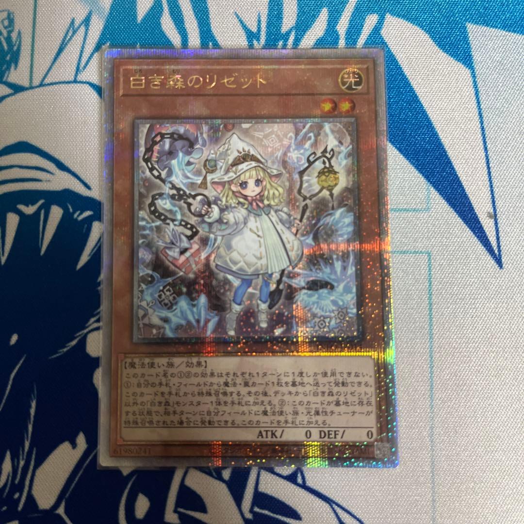 ぬ*す様 白き森のリゼット　25thシークレット