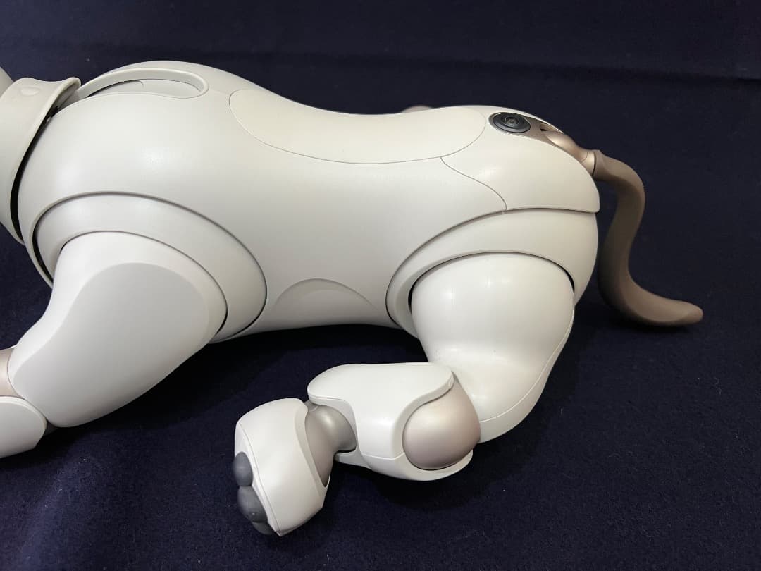 美品　期間限定　ソニーアイボAIBO　アイボリーホワイト　動作確認済【匿名配送】